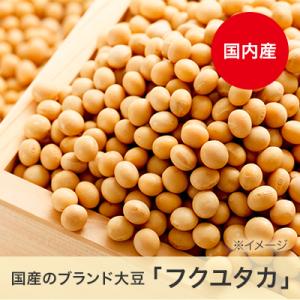 ソイリッチ公式厳選!フクユタカ 3kg 熊本県...の詳細画像1