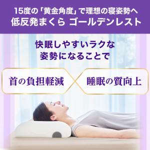 トゥルースリーパー エアフリー 三つ折りタイプ...の詳細画像2