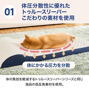 トゥルースリーパー ペットベッド 小・中型犬用...の詳細画像3