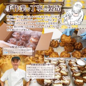 シュークリーム 6個セット 送料無料 冷凍 ス...の詳細画像5