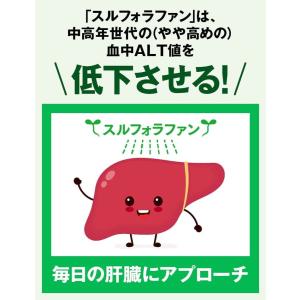 カゴメ公式 スルフォラファン 93粒(目安31...の詳細画像4