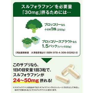 カゴメ公式 スルフォラファン 93粒(目安31...の詳細画像5