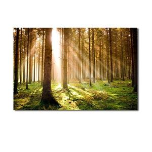 レモンツリーART 自然 風景画 田園 植物 木 森 ポスター 写真 ポスターアート インテリア装飾品 壁飾り 壁掛け絵画 部屋飾り 新築お祝い