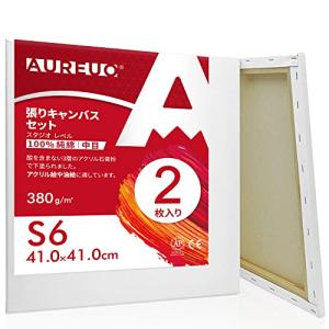 AUREUO 張りキャンバス セット S6  中目 100％コットン 2枚 初心者 絵画用具 芸術絵創作 現代油絵 美術装