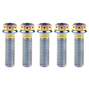 Ruifuチタン合金フランジヘッド六角穴付ボルトM10 20 25 30 35 40 45 50 55 60 65 70 75 80 85 90