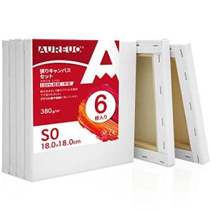 AUREUO 張りキャンバス セット S0  中目 100％コットン 6枚 初心者 絵画用具 芸術絵創作 現代油絵 美術装