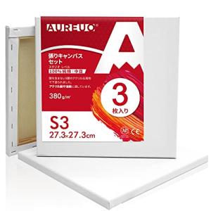 AUREUO 張りキャンバス セット S3  中目 100％コットン 3枚 初心者 絵画用具 芸術絵創作 現代油絵
