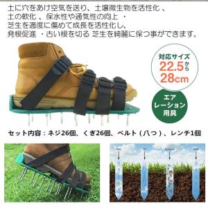 バンド 4本付 ガーデンシューズ 芝生のエアレ...の詳細画像4