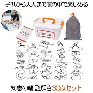 知恵の輪 謎解き 脳ティーザー リングパズル 脳トレ パズル スチールパズル 難易度 レベル 知育 遊び 玩具 おもちゃ NAZOTI30