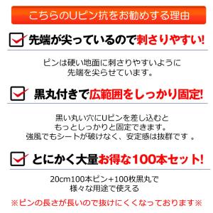 防草シート ピン Uピン杭 黒丸付 固定ピン ...の詳細画像3