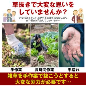 草刈鎌 草刈りカマ 草刈り道具 草抜き ツール...の詳細画像3