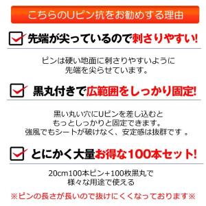 防草シート ピン Uピン杭 黒丸付 固定ピン ...の詳細画像3