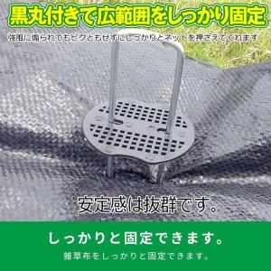 防草シート ピン Uピン杭 黒丸付 固定ピン ...の詳細画像4