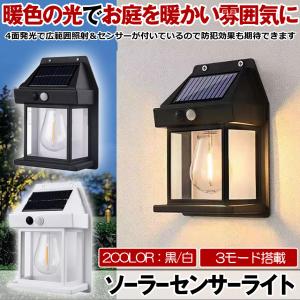 エコ照明 LEDソーラー屋外照明用2個セット・暖色光 センサーライト 屋外 2個セット ソーラー ソーラーライト 暖色系