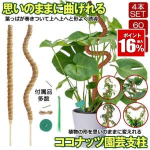 曲げられる ココスティック 40cm 2本 セット ココナッツ支柱