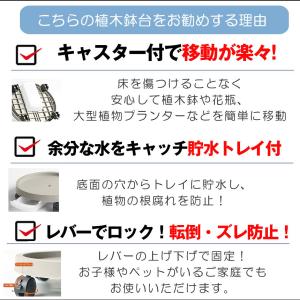 2個セット 鉢置き台 Sサイズ キャスターフラ...の詳細画像3