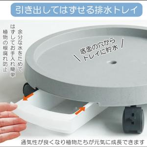 2個セット 鉢置き台 Sサイズ キャスターフラ...の詳細画像5