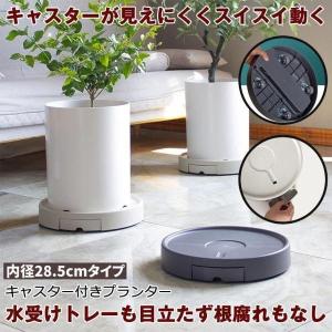 植木鉢台 植木鉢 プランター 鉢 受け皿 キャスタースタンド フラワー 台 水受け付き 鉢置き台 キャスター プランター用受皿 キャスター付き 鉢受プレート