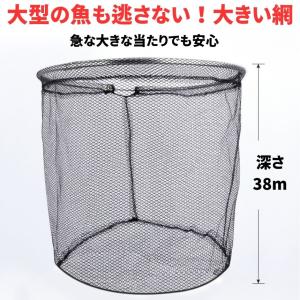 【2個セット】 玉網 ランディングネット 4m...の詳細画像2