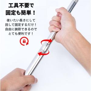 【2個セット】 玉網 ランディングネット 4m...の詳細画像4