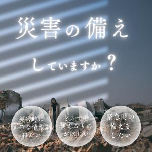 ポケット ラジオ 小型 ポータブル AM FM...の詳細画像3