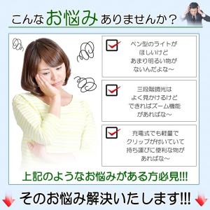 懐中電灯 ハンディライト ペンライト ペン型ラ...の詳細画像3