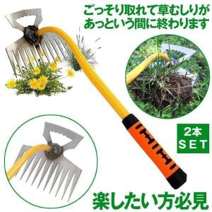 2本セット 草刈鎌 草取り道具 草刈りカマ 草刈り ツール 草抜き 鎌 鍬 器具 根っこ 雑草抜き 雑草取り 11歯 草むしり 雑草 草 畑 根こそぎ 除草 畑 くさかり 庭