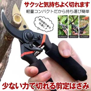 剪定ばさみ ハサミ 枝切りバサミ 剪定はさみ ...の詳細画像1