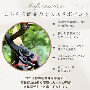 剪定ばさみ ハサミ 枝切りバサミ 剪定はさみ ...の詳細画像3
