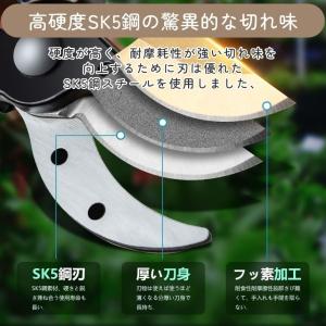 剪定ばさみ ハサミ 枝切りバサミ 剪定はさみ ...の詳細画像4