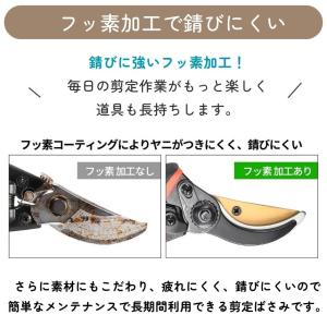 剪定ばさみ ハサミ 枝切りバサミ 剪定はさみ ...の詳細画像5