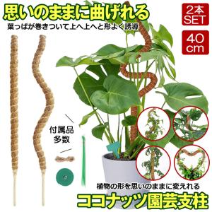 曲げられる ココスティック 40cm 2本 セ...の詳細画像1