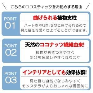曲げられる ココスティック 40cm 2本 セ...の詳細画像2