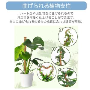 曲げられる ココスティック 40cm 2本 セ...の詳細画像3