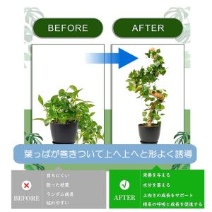曲げられる ココスティック 40cm 2本 セ...の詳細画像4