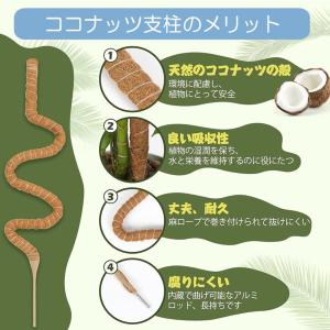 曲げられる ココスティック 40cm 2本 セ...の詳細画像5