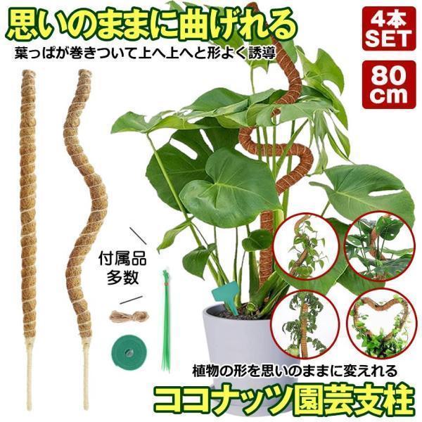 曲げられる ココスティック 80cm 4本 セット ココナッツ支柱 モンステラ支柱 観葉植物 モンス...