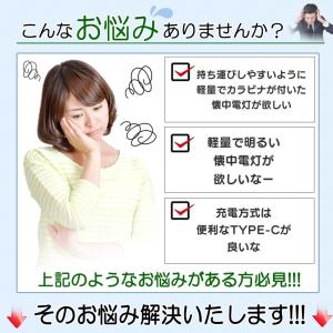 2個セット 懐中電灯 ハンディライト 作業灯 ...の詳細画像3