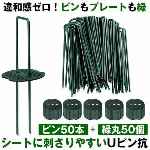 防草シート ピン Uピン杭 緑丸付 U字ピン 固定ピン 緑 除草シート 15cm 50本 防草しーと 防そうシート 防そうしーと 固定用 固定 人工芝 おさえピン 押さえピン
