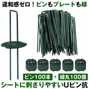 防草シート ピン Uピン杭 緑丸付 U字ピン 固定ピン 緑 除草シート 15cm 100本 防草しーと 防そうシート 防そうしーと 固定用 固定 人工芝 おさえピン 押さえピン