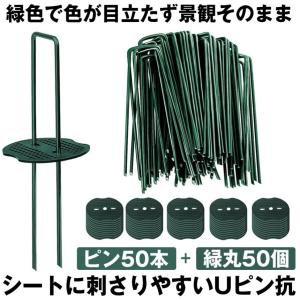 防草シート ピン Uピン杭 緑丸付 U字ピン ...の詳細画像1