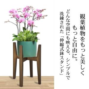 【2個セット】 フラワースタンド プランタース...の詳細画像3