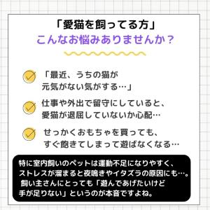ネコ 猫 おもちゃ ボール 電動 自動 鳥 犬...の詳細画像4