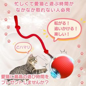 ネコ 猫 おもちゃ ボール 電動 自動 鳥 犬...の詳細画像5