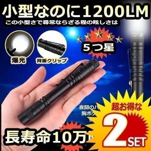 LED ライト 小型 ミニ 懐中電灯 2本 ハンディ ペンライト 全長 13cm