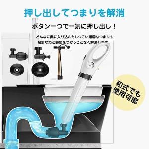 パイプクリーナー トイレ 排水口 排水溝 つま...の詳細画像2