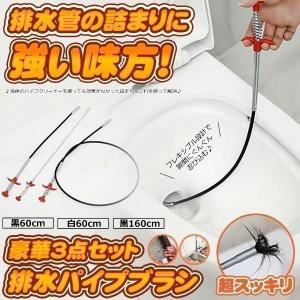 パイプクリーナー 3本セット ワイヤーブラシ 排水溝のつまり