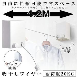 室内物干し 物干しワイヤー 耐荷重20kg 物干...の商品画像