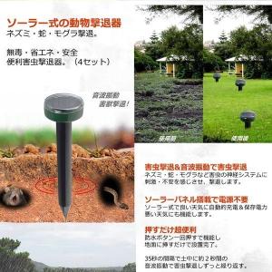 モグラ退治 4本 モグラ撃退器 駆除 超音波 ...の詳細画像3