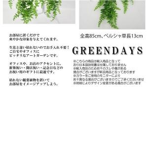 フェイクグリーン 壁掛け 造花グリーン 枯れな...の詳細画像4